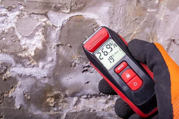 Best Commercial Mold Removal  in Dardenne Prairie, MO