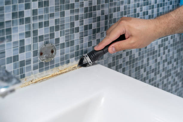 Best Mold Testing and Removal  in Dardenne Prairie, MO