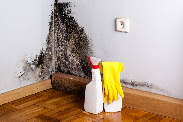 Best Crawl Space Mold Removal  in Dardenne Prairie, MO